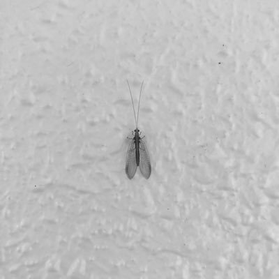 syotawo's profile picture. 芋掘って売る仕事→データ分析見習い→新規事業の事業計画立てるのと分析→農業生産 / 自然で変なものが好きです