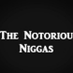 Notorious Ninjas (@NotoriousNinja3) Twitter profile photo