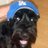 NYDodgerDog's profile image