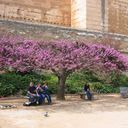 Jacques-Yves Roy - @OrganicJyves - Twitter