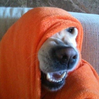juagonm1's profile picture. Chafateclas profesional. ⚡️jakanode@coinos.io