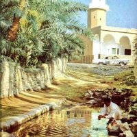 ابو سامي الصبحي (@ab22s1) 's Twitter Profile