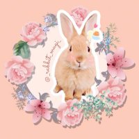 ˗ˏˋ 𝑚𝑢𝑔𝑖 ꪔ̤̥ ˎˊ˗ (@_rabbit_mugi_) Twitter profile photo