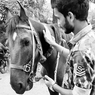 Visheshsinghth7's profile picture. 🇮🇳
🐕
🏍️ 
🌚 
🏀
🎧