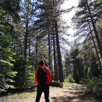 Zhan ZHUO (@_zhanzhuo) 's Twitter Profile