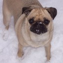 Rhonda Winchell - @RhondaWinchell - Twitter