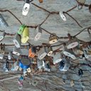 Mindy Perlmutter - @mpmutter - Twitter