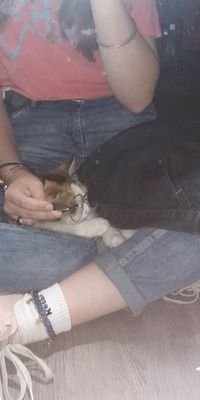 lolice20's profile picture. 🌻