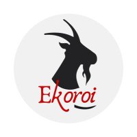 Ekoroi Blog(@Ekoroi_) 's Twitter Profile Photo