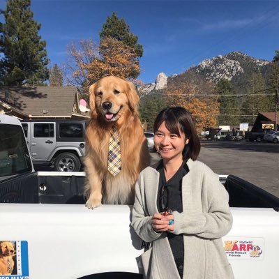 qi2cheng2's profile picture. Psycho/neurolinguist studying how early language experience shapes the brain. UW Linguistics, Neuroplasticity & Language Lab. she/they 🏳️‍🌈