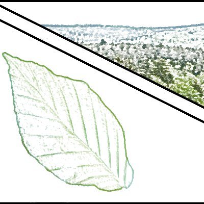 expleco's profile picture. The Experimental Plant Ecology Lab at Uni Greifswald @wissen_lockt lead by Prof. Juergen Kreyling