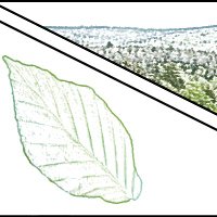 Experimental Plant Ecology Lab (@expleco) 's Twitter Profile