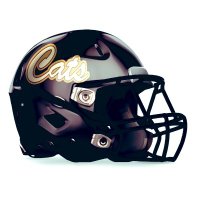 Leesville High School Football (@wampus_cats) 's Twitter Profile