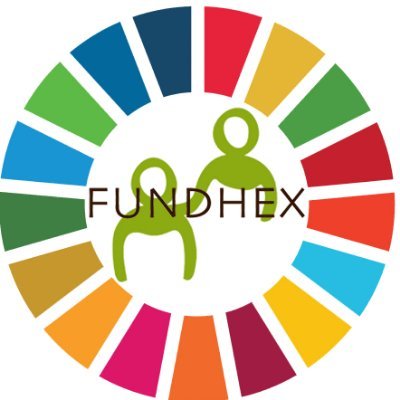 FUNDHEX Profile Picture