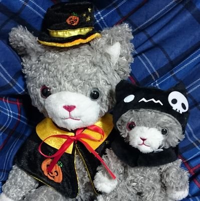 ☆佐藤拓也さん/鈴木達央さん/前野智昭さん/うたプリ(蘭丸・カミュ)/第五人格(写真家・泣きピエロ・傭兵・火災調査員・墓守)/アイナナ(龍之介・楽)/FGO(アシュヴァッターマン)/ブレマイ(新開・槻本)が好きです。
楽しくお話できると嬉しいです♫ 成人済