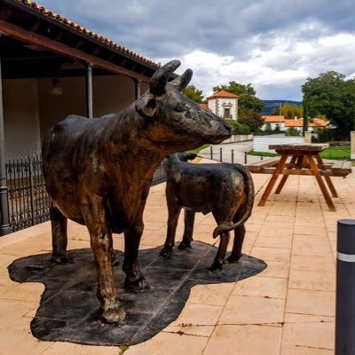 El municipio de Sotillo del Rincón, de la Comarca conocida como “El Valle”, está situado al noroeste de la provincia de #Soria y al pie de la Sierra #Cebollera.