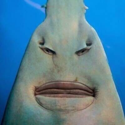 digital_zeus's profile picture. 