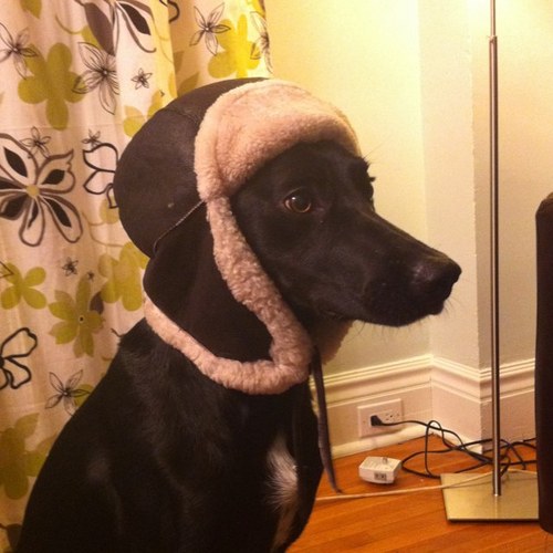 arnoldadam's profile picture. 