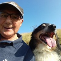 Ian Buchanan (@torchman2012) 's Twitter Profile