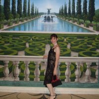 Writer Kiera Collins (@mskieracollins) 's Twitter Profile