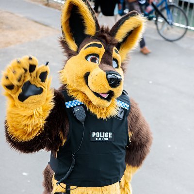 Hi there, i'm Tobsi a fursuiter from Germany. On this page i share some photos of events and meets with other furs