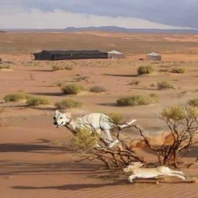 b7ralfintas's profile picture. 