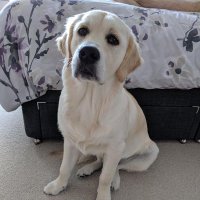 *Kimberley*Jackson* (@kimzeey) 's Twitter Profile