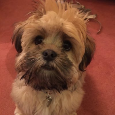 tkt2everywhere's profile picture. Mainly book reviews. (There's more to life than books, you know. But not much more.)