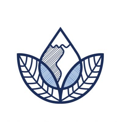 The Kinetic Kitchen Profile