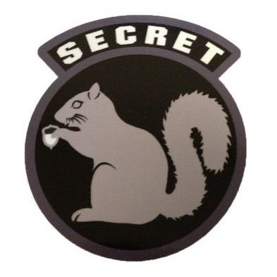 SecretS80760045 Profile Picture