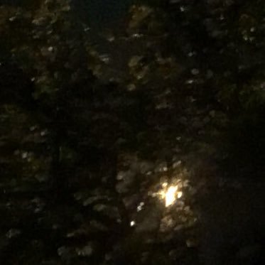 ousman_OSORIO's profile picture. 