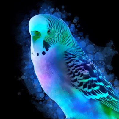 Cargo28411193's profile picture. 