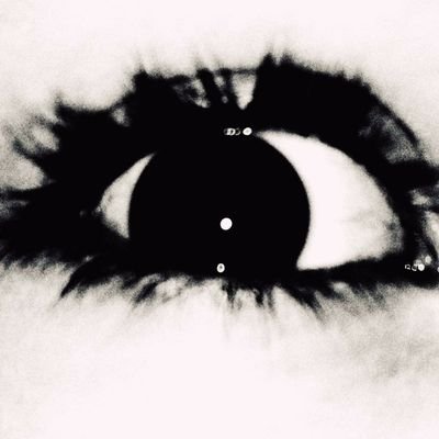 playconeja's profile picture. 