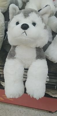 wdnmdnmslm's profile picture. 