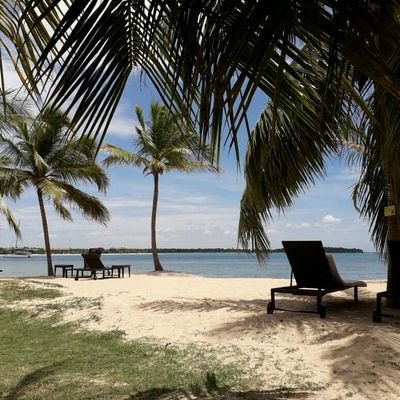 JoNichol3's profile picture. Deputy Head Teacher, English, pshe and music lead plus the rest!