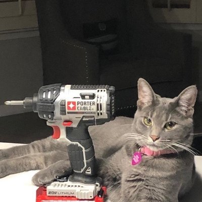 ignEliott's profile picture. 