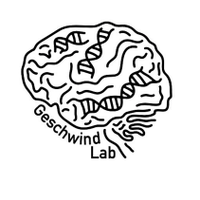 Geschwind Lab @ UCLA (@geschwindlab) 's Twitter Profile