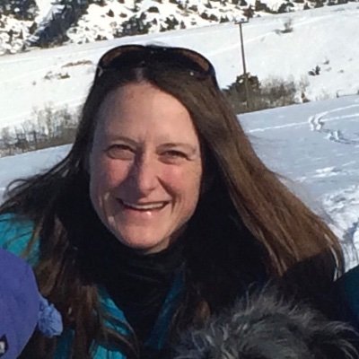 critical_infer's profile picture. Statistician, scientist, writer