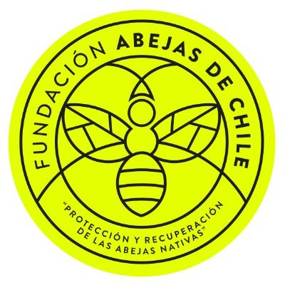 Ciencia básica y aplicada. Educación, monitoreo en terreno, documentales, e‑libro y Comarcas de abejas nativas: urbanas, agro y de conservación.