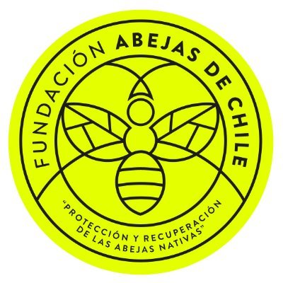 Promovemos la conservación de las abejas nativas (native bees) de 🇨🇱 a través de la educación, ciencias básicas y aplicadas la Comarcas