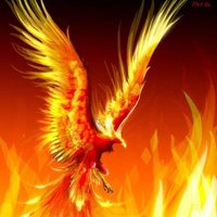 Cloudy (@cloudy77252912) 's Twitter Profile