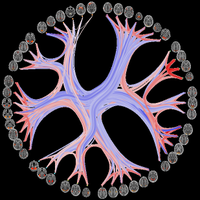PersonomicsLab (@personomicslab) 's Twitter Profile