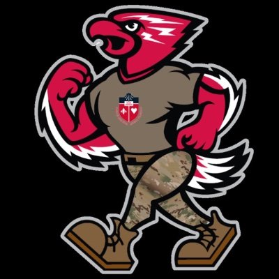 Official Twitter page of the St. John's University Army ROTC. (Following, RTs and links ≠ endorsement)
