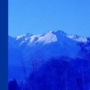 Ithaque Coaching (@ithaquecoaching) 's Twitter Profile