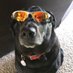 Clayton Palmer (@cpalmtree77) Twitter profile photo Clayton Palmer (@cpalmtree77) Twitter profile photo