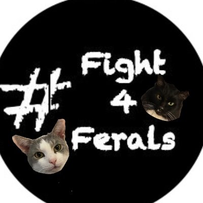 We were lost but now we're found. Former ferals who never stop fighting. #Fight4Ferals #StrayStrong #LeaveACan #LostNoMore #86theGOP