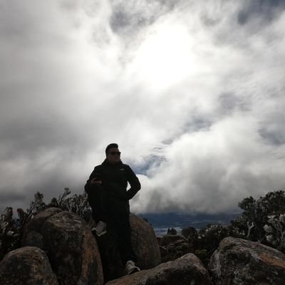 TouJoy's profile picture. 