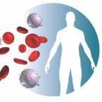 The Centre for Blood Transplant and Cell Therapy objective is to develop a world-class, multi-centre approach to treat patients with haematological malignancies