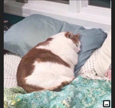 Juliana00656308's profile picture. JVNS