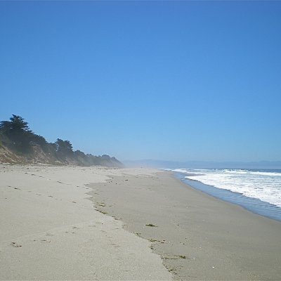 jenwa3's profile picture. Cover image taken from https://t.co/KcTcOP979v